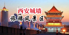 啊啊啊用大鸡巴操我视频中国陕西-西安城墙旅游风景区