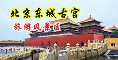 操逼吃鸡巴肏小穴视频中国北京-东城古宫旅游风景区